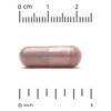 Resveratrol, Antioxidant Complex, Grape Seed Extract, Resveratrol & Red Wine Extract, 500 mg, 250 Veggie Capsules - 3 of 3