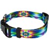 Country Brook Petz Deluxe Dog Collar - Groovy Collection - 3 of 4