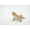 Collectible Wildlife Gifts | Lizard, Bearded Dragon, Pogona, Reptile, Museum Quality, Hand Painted, Rubber, Realistic, Toy,  Gift,  5"  CH686 BB172 - 4 of 4