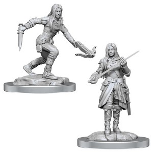 Dungeons & Dragons Nolzur's Marvelous Miniatures - Half-Elf Rogue Female - 1 of 4