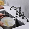 Stylish Dual-Handle Bridge Kitchen Faucet with Detachable Side Spray - 4 of 4