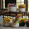KTMBDW Plant Pots, Ceramic Planters with Drainage Holes,Nursery Planting Pot for Indoor Out Door Plants - 2 of 4