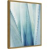 16" x 20" Pale Agave No.1 by Lupen Grainne Framed Canvas Wall Art Blue - Amanti Art: Modern Botanical Lithograph, Sawtooth Back - 2 of 4