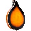 Gold Tone A-Style Mandolin with Pickup Tobacco Sunburst - 4 of 4