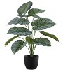 Monarch Specialties Artificial Plant 24 inch Tall Calathea Indoor Faux Fake Table Greenery Potted Real Touch Decorative Green Leaves Black Pot - 2 of 4