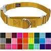 Country Brook Petz Heavyduty Nylon Martingale with Premium Buckle - 3 of 4