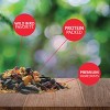 Lyric 40lb Outside Bird Seed Feeder Wild Bird Food: Attracts Cardinals, Finches, Jays - 3 of 4