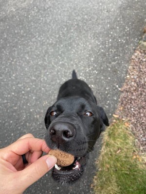 Guest review image 1 of 2, zoom in