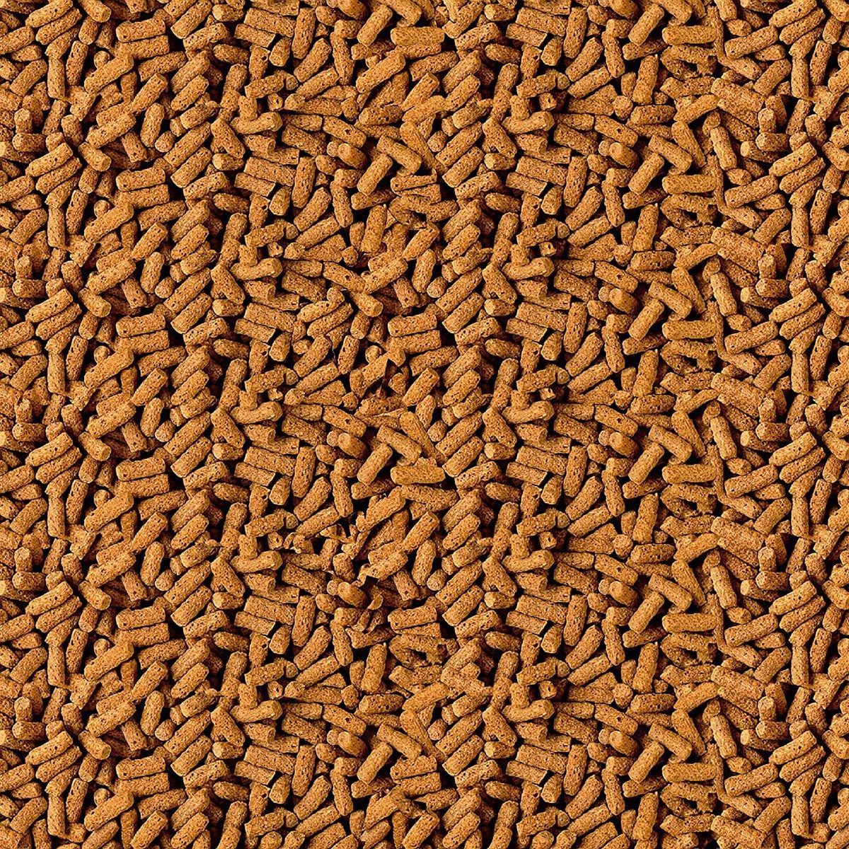 TetraPond Spring & Fall Diet Floating Pond Sticks Fish Food, 1.72-Pound - thumbnail 2