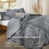 2-3 Pcs Tufted Boho Comforter Set Bed Set GentleSoft Farmhouse Shabby Chic Embroidery Bedding - 3 of 4