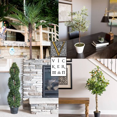 Elegant 4' Silk Capensia Floor Plant in Sleek Black Pot