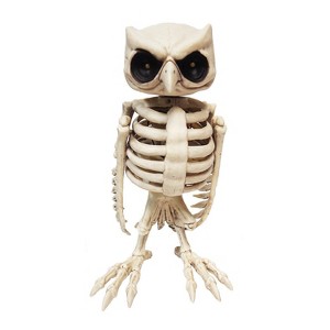 Halloween Express  Animated Owl Skeleton Halloween Decoration - Size 14 in - Off-White - 1 of 1