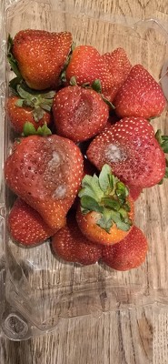 Guest review image 1 of 1, zoom in