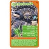 Top Trumps Deadliest Predators Card Game - 4 of 4