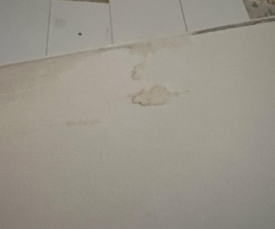 Guest review image 4 of 6, zoom in