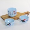 Wild Eye Set of 4 French Parisian Experience Stacking Bowls 7" - Blue - 4 of 4