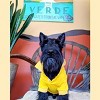 Parisian Pet 'Polo' Dog & Cat T-Shirt – Stylish Embroidered Pet Shirt, Comfortable & Lightweight – Yellow - 3 of 4