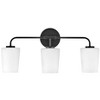 Lark Kline 3 - Light Vanity in  Black - 2 of 4