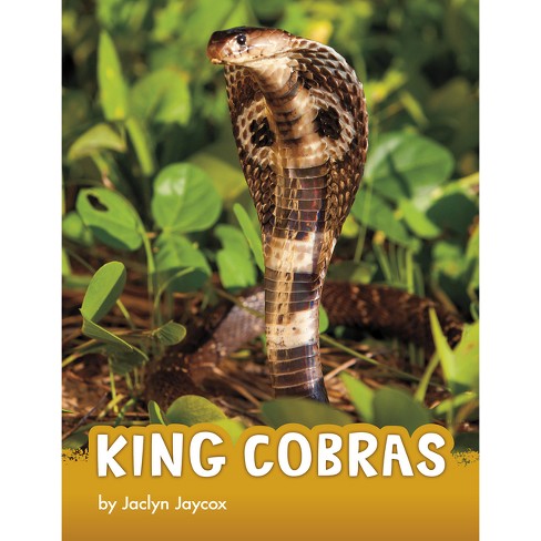 Cobras Animal Facts - A-Z Animals