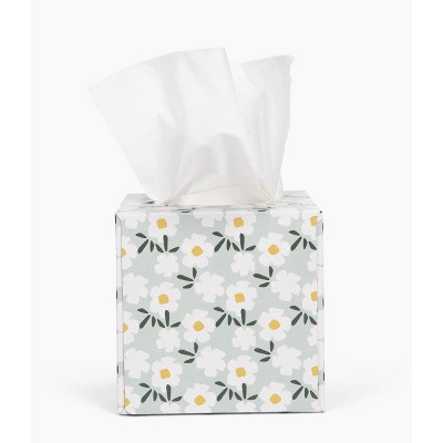 Candid Bamboo Facial Tissue - 66ct : Target