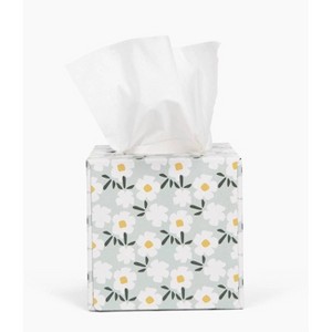 Candid Bamboo Facial Tissue - 66ct - 1 of 4