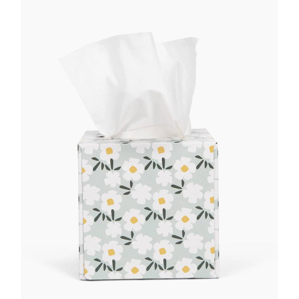 Candid 3-Ply Bamboo Facial Tissue - 66ct