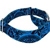 Country Brook Petz HossFit Jr Wide Martingale Dog Collar - Attitude Collection - 3 of 4