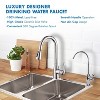 APEC Water Systems FAUCET-CD-COKE Ceramic Disc Luxury Designer Faucet - Chrome Coke Lead-Free - 2 of 3