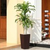 DR.Planzen UV Resistant Artificial 6-7FT Tall Pre Potted Dracaena Tree with White/Brown Tall Square Planter for Indoor Outdoor House Home Decor - 2 of 4