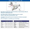 Zack & Zoey Show Jockey Saddle Dog Costume - 2 of 2
