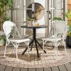 Torino Side Chair Indoor/Outdoor (Set Of 2) - Safavieh - 3 of 4