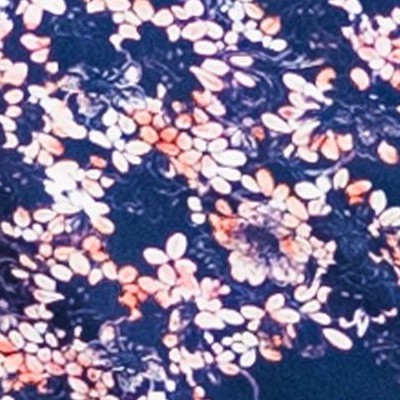 navy blossoms