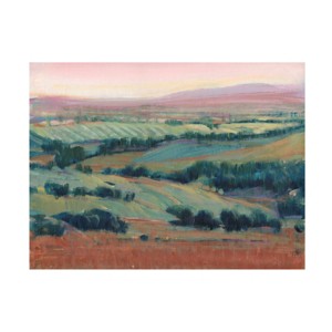 14" x 19" Tim OToole 'High Point II' Unframed Canvas Art - Trademark Fine Art - 1 of 4