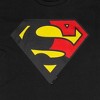 Adult The Death and Return of Superman Logo T-Shirt - 2 of 4