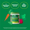 Amazing Grass Greens Blend Superfood Vegan Powder - Original - 8.5oz - 3 of 4