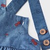 Baby Girls' 2pc Disney Minnie Mouse Cherry Chambray Dress & Bodysuit Set - Blue - 4 of 4
