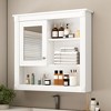 Hrinhom 32"W Bathroom Storage Cabinet ,Wall Mounted Medicine Cabinet with Mirror - 2 of 4