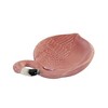 1.25 In Flamingo Trivet Tray Flamboyance Trivets - 3 of 3