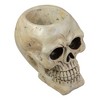 Northlight Halloween Skull Decoration - 11" - Ivory and Black - 4 of 4