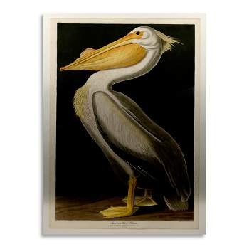 Trademark Fine Art - John James Audubon 'American White Pelican' Floating Brushed Aluminum Art
