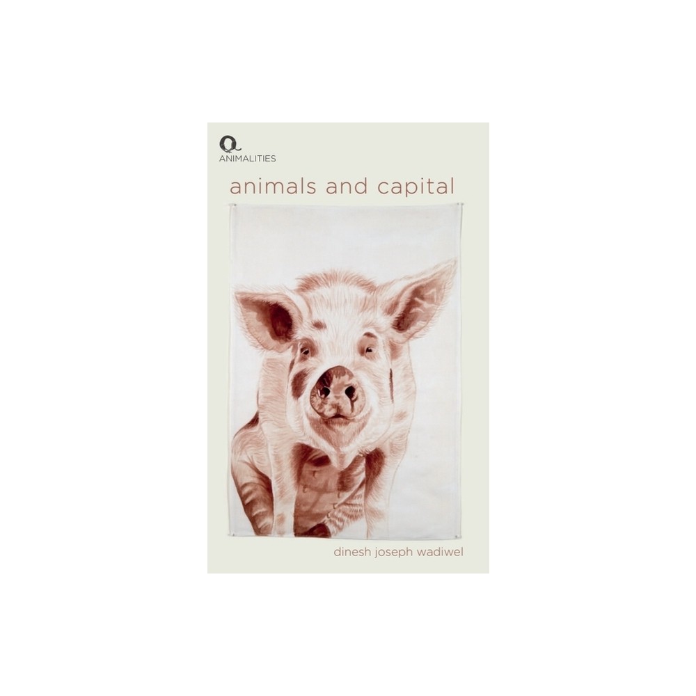 Animals and Capital - (Animalities) by Dinesh Joseph Wadiwel (Hardcover)