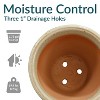 Sunnydaze Studio Outdoor/Indoor UV- and Frost-Resistant Ceramic Flower Pot Planter with Drainage Holes - 4 of 4