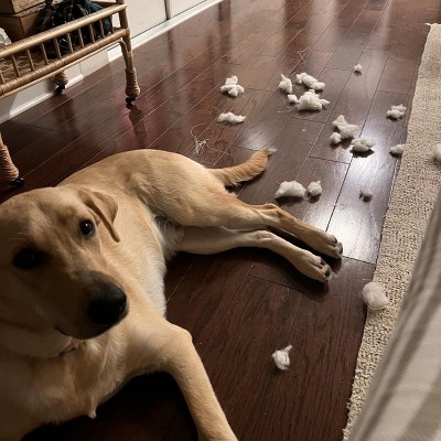 Guest review image 1 of 1, zoom in