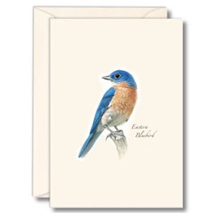 Earth Sky + Water - Red Fox Kits Notecard Set main image 1