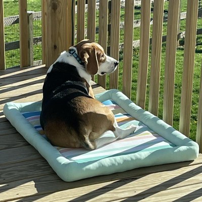 Dog cooling mat target best sale