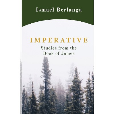 Imperative - by  Ismael Berlanga (Paperback)
