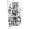 71" Double Sided Alice in Wonderland Canvas Room Divider White - Oriental Furniture: Adjustable Folding Partition - 4 of 4