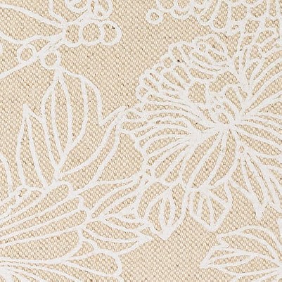 white flower blossom