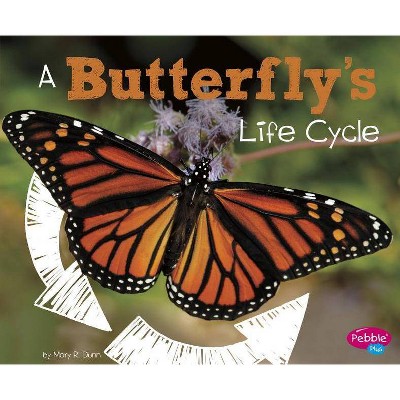 A Butterfly's Life Cycle - (Explore Life Cycles) by  Mary R Dunn (Paperback)