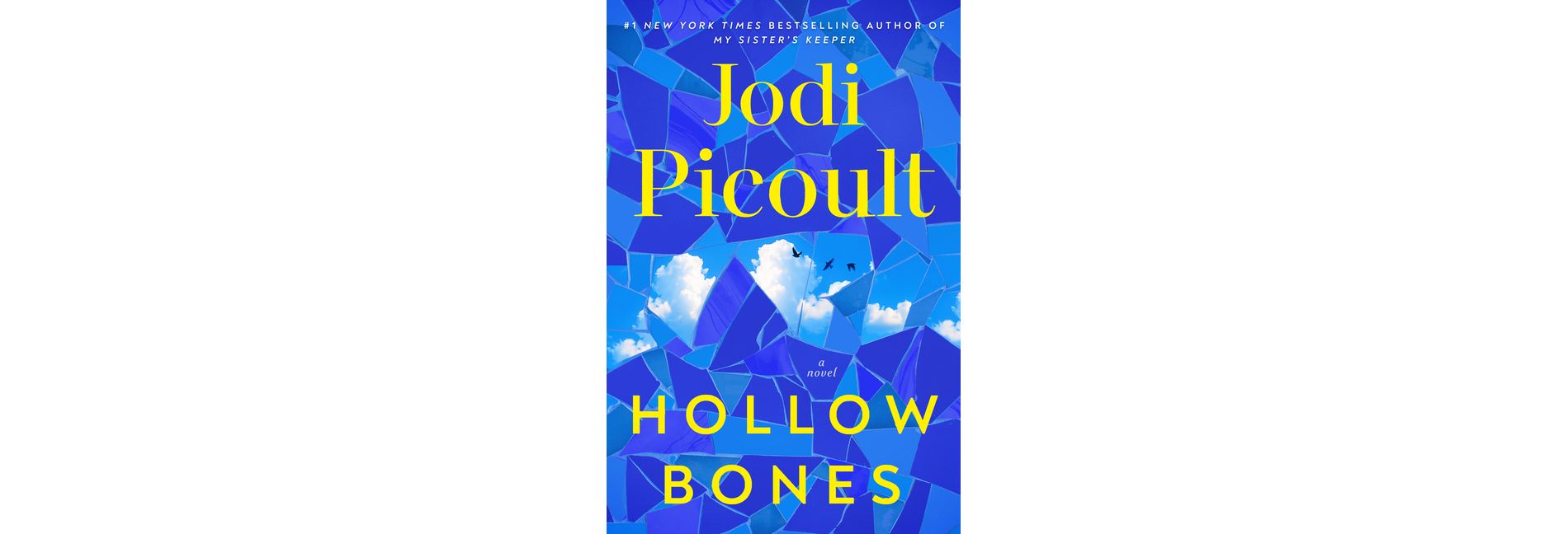 Hollow Bones - by  Jodi Picoult (Hardcover)